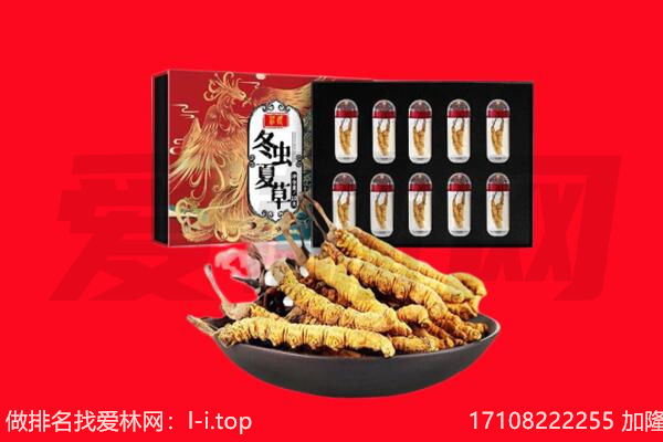 正安回收虫草.jpg